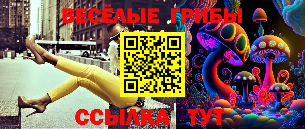 Галлюциногенные грибы Psilocybe Качканар