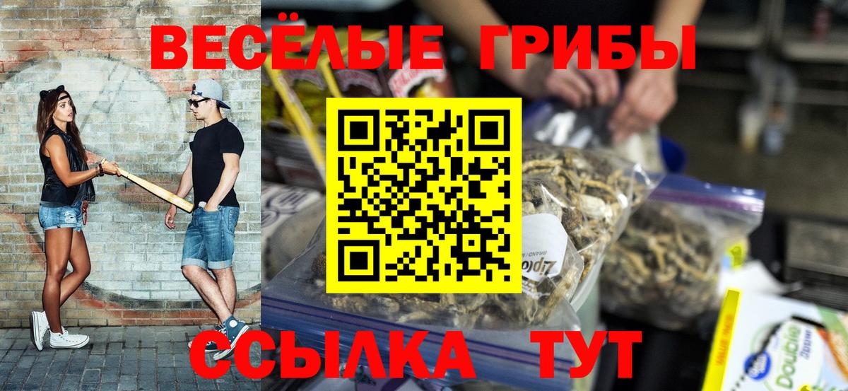 Качканар  Галлюциногенные грибы прущие грибы  Вход с VPN 